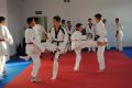 Trening taekwondo