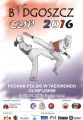 Puchar Polski w Taekwondo Olimpijskim – Bydgoszcz Cup 2016